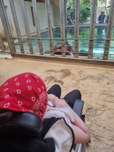Rêve d'inès- Zoo de Beauval-mai2026-Galaderêves